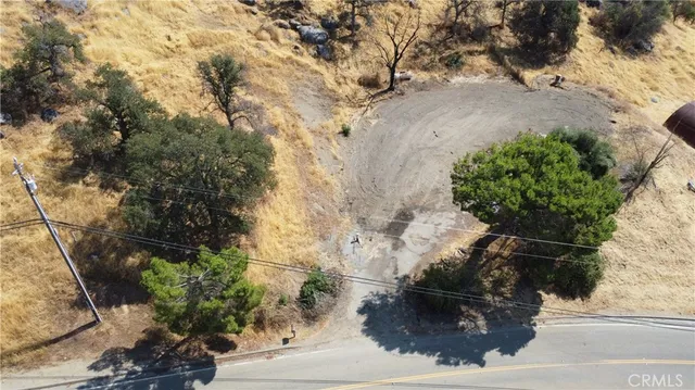 a view of path along with trees