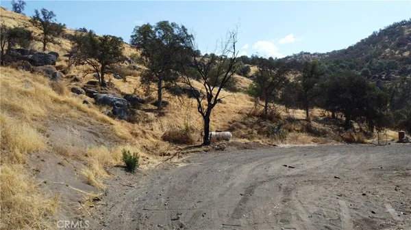 a view of a dry yard with trees in the background