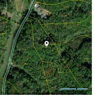 6.12 Dripping Springs Road Seymour, TN 37865 - Photo 1 of 4 IMG_1820