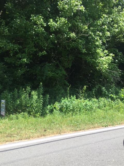 6.12 Dripping Springs Road Seymour, TN 37865 - Photo 4 of 4 IMG_1827