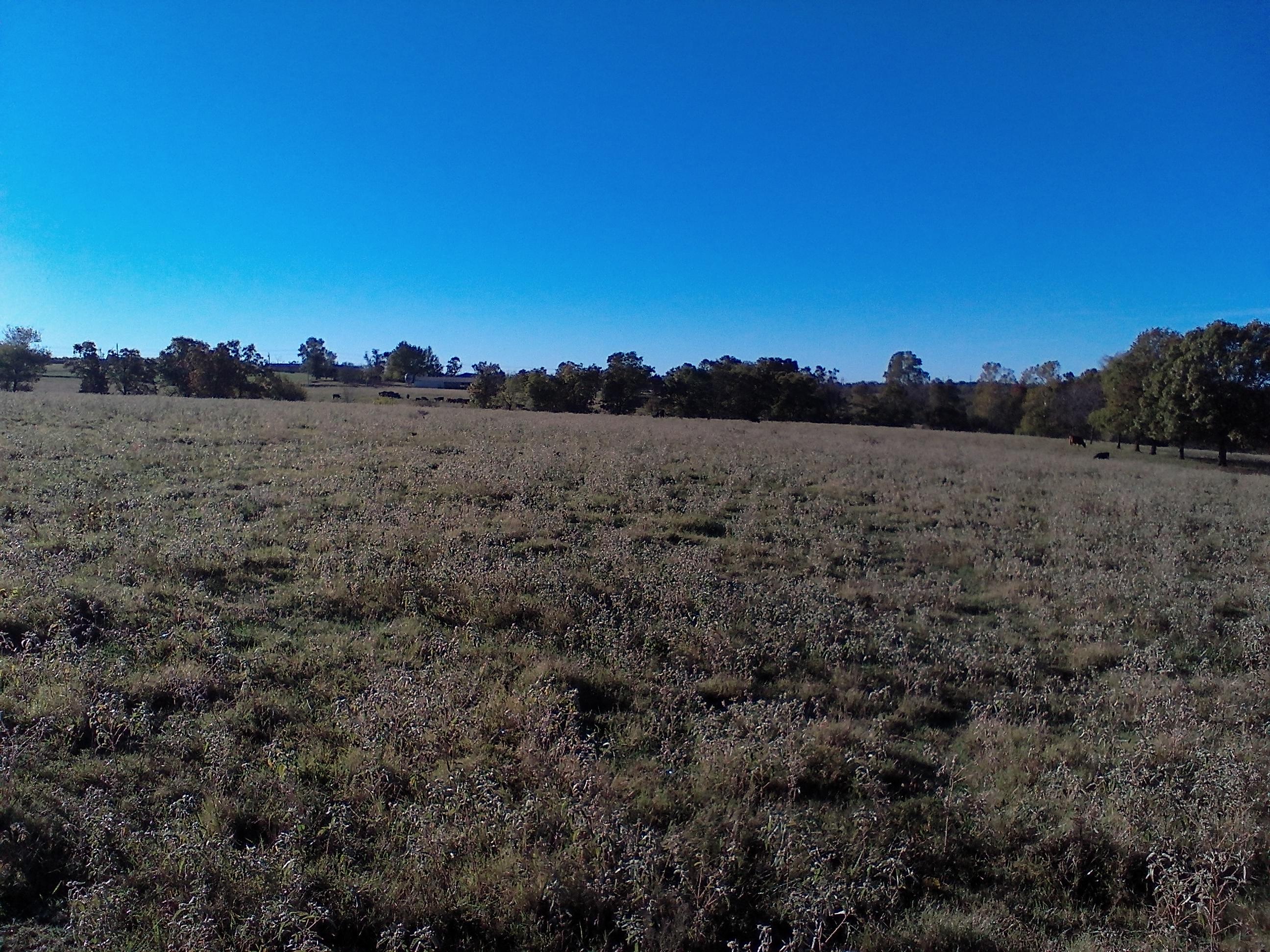 1 Rt Street Watts, OK 74964 - Photo 20 of 79 Gallery Image 20