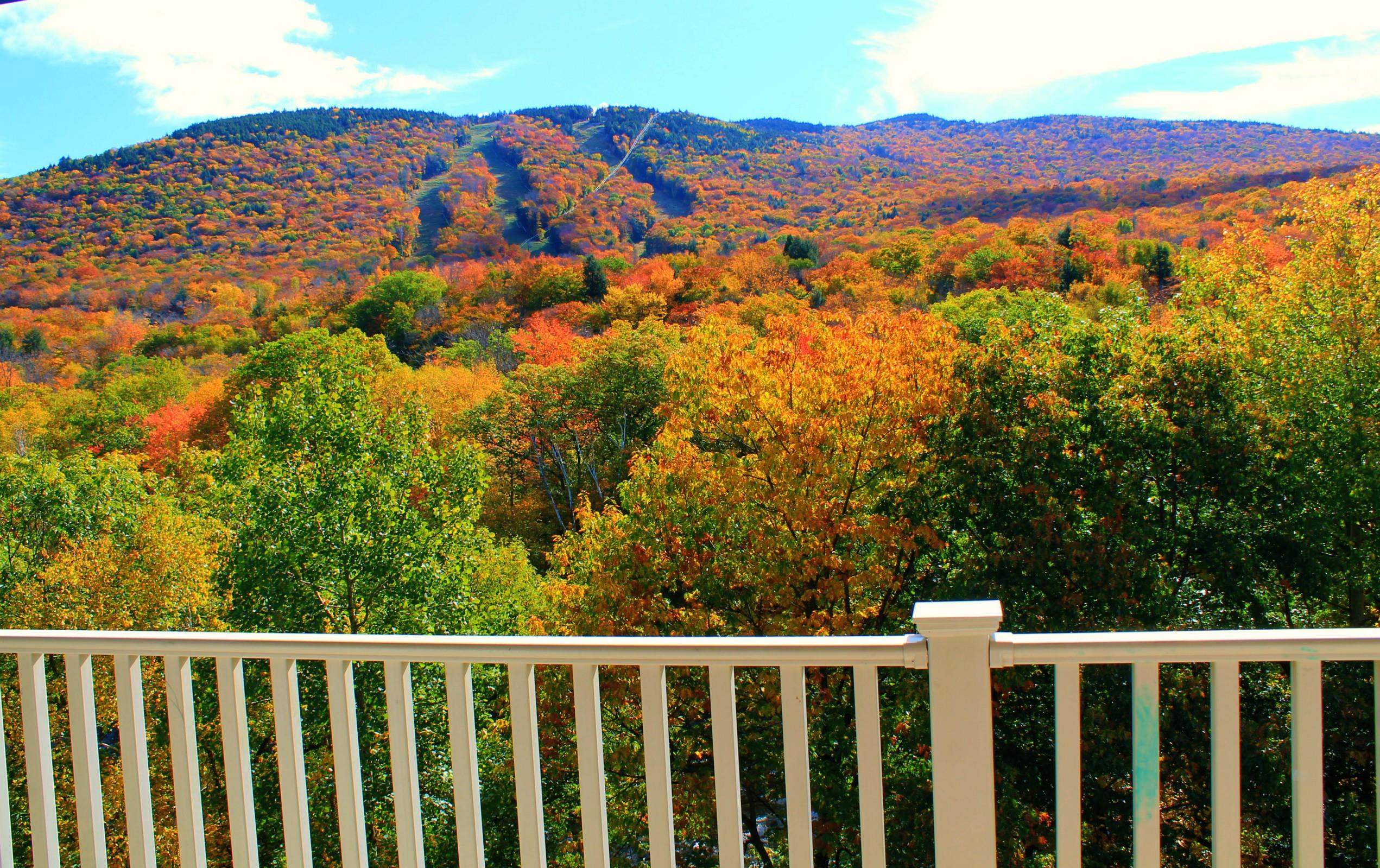 36 Lodge Road, Unit C206 Lincoln, NH 03251 - Photo 5 of 39 Gallery Image 5
