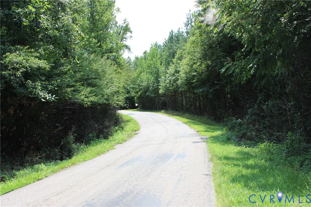 0 White Oak Road Dewitt, VA 23840 - Photo 8 of 9 Curving paved road bordered by lush green foliage