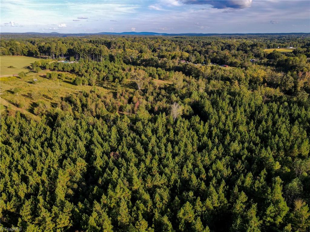 1175 McCoy Farm Road Salisbury, NC 28146 - Photo 12 of 23