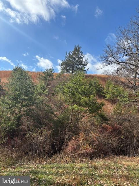Ewing Drive Baker, WV 26801 - Photo 1 of 10 Scenic views