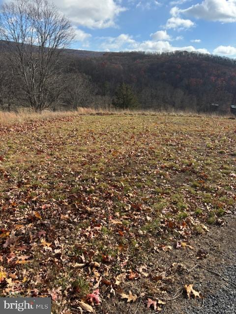 Ewing Drive Baker, WV 26801 - Photo 3 of 10 Great building site with views