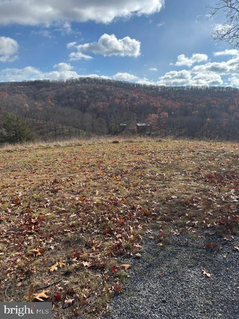 Ewing Drive Baker, WV 26801 - Photo 4 of 10