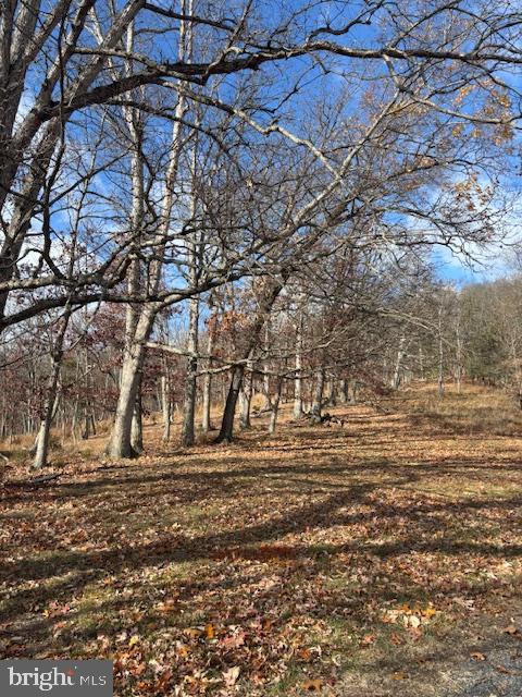 Ewing Drive Baker, WV 26801 - Photo 5 of 10