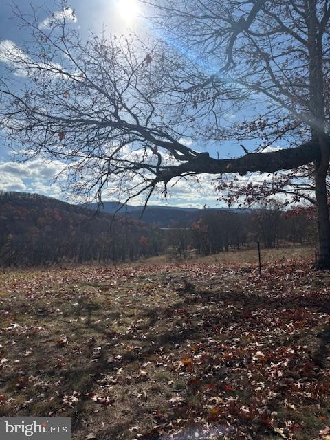 Ewing Drive Baker, WV 26801 - Photo 6 of 10