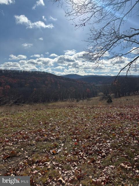 Ewing Drive Baker, WV 26801 - Photo 7 of 10