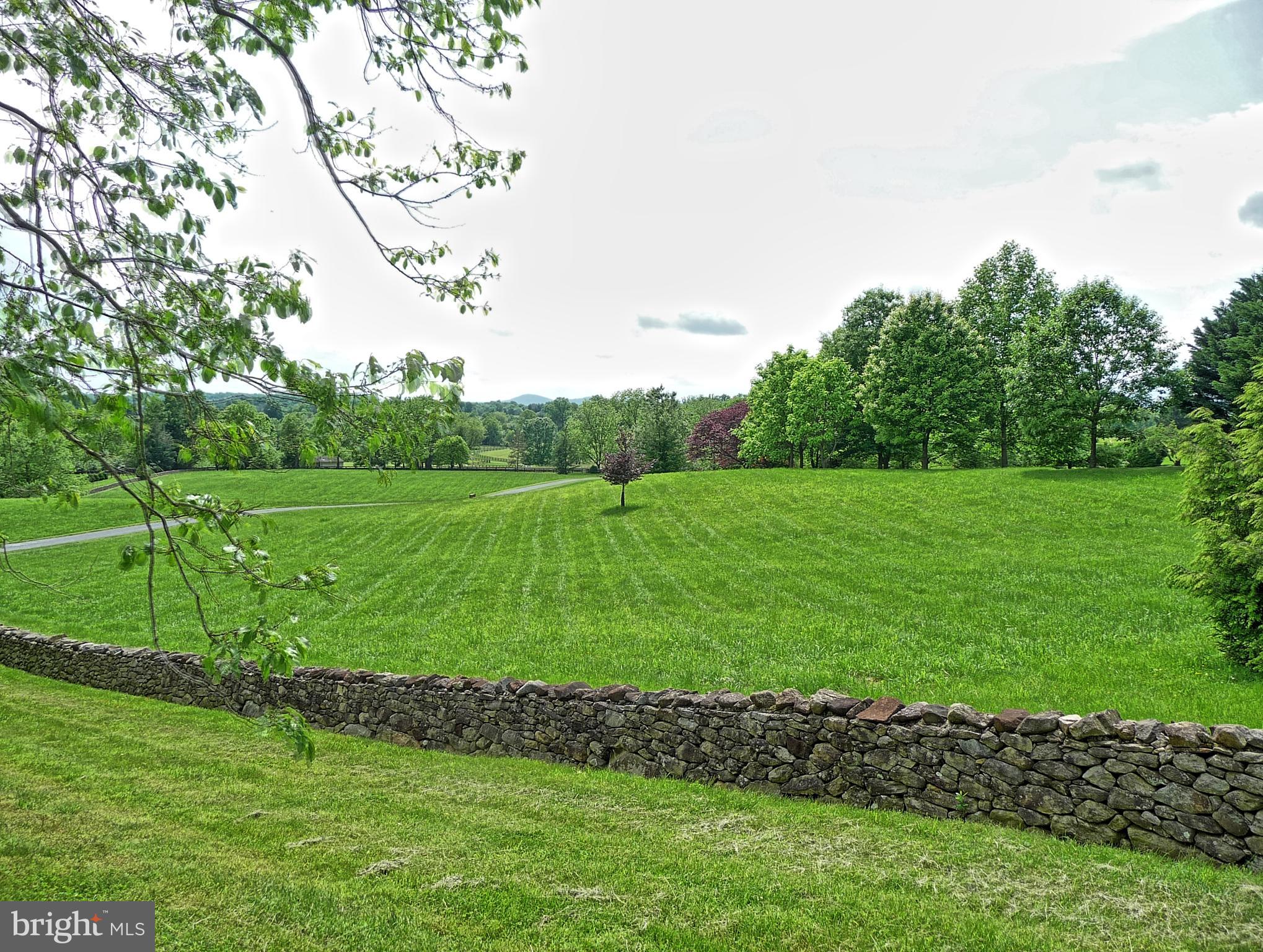 2575 5 Points Road Marshall, VA 20115 - Photo 93 of 95