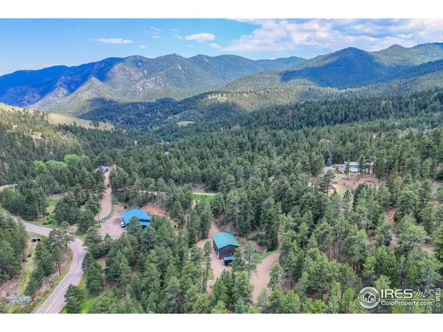 a view of a lush green hillside and a mountain