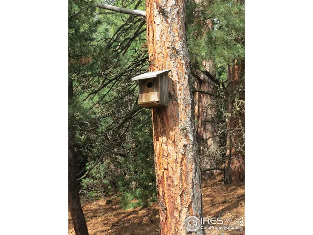 a view of a house with a tree
