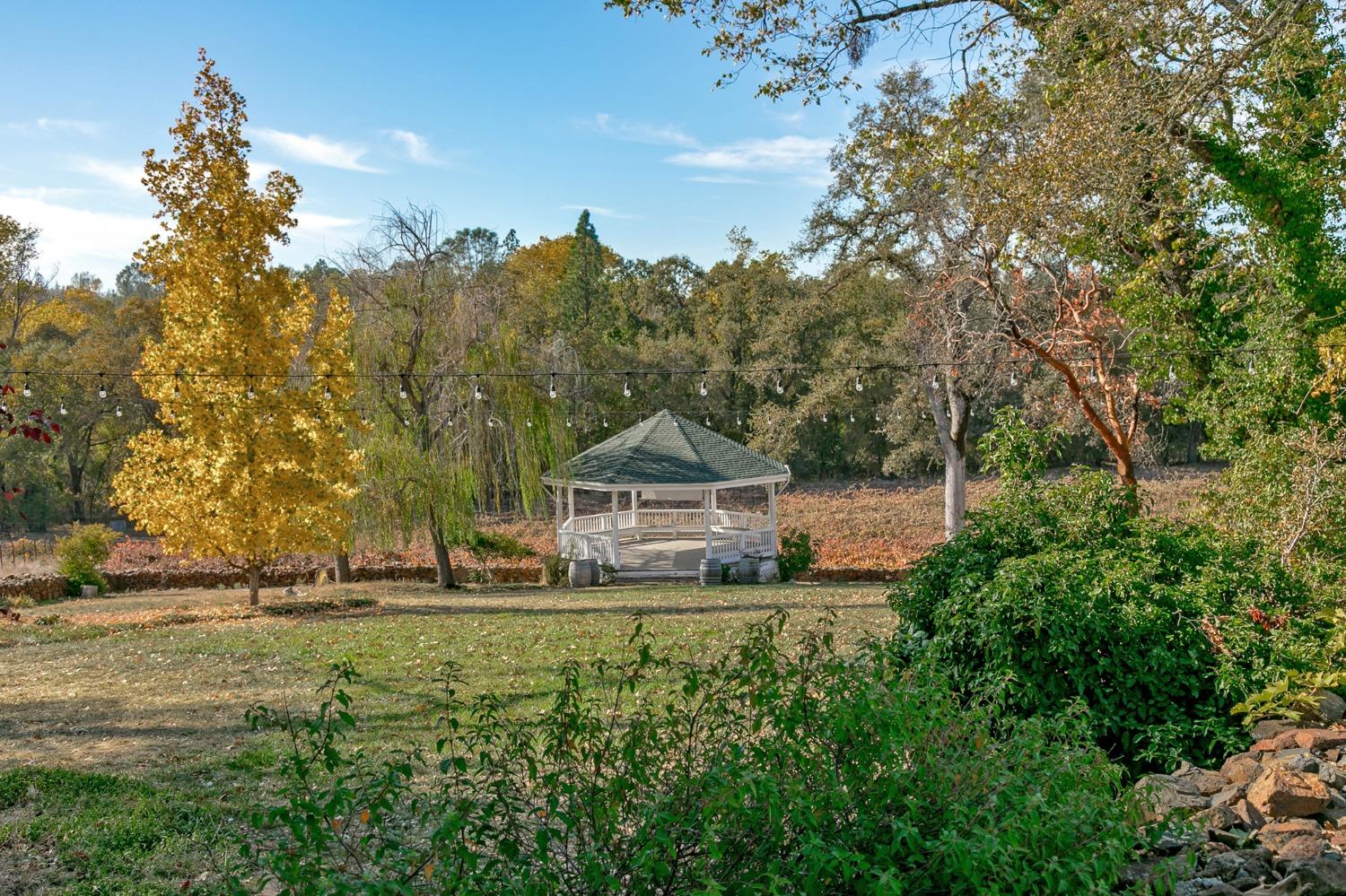 3040 Ponderosa Road Shingle Springs, CA 95682 - Photo 33 of 52 a backyard of a house with lots of green space