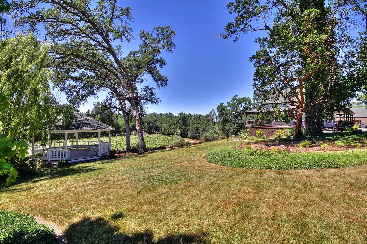 3040 Ponderosa Road Shingle Springs, CA 95682 - Photo 34 of 52 a view of a backyard with large trees