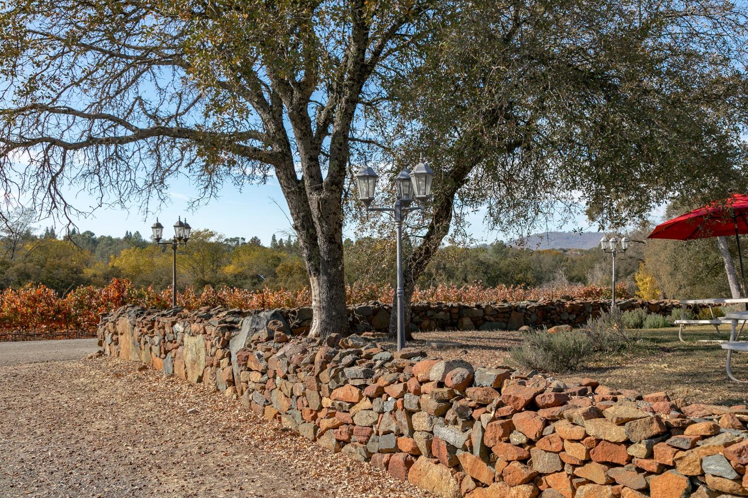 3040 Ponderosa Road Shingle Springs, CA 95682 - Photo 44 of 52 a view of outdoor space