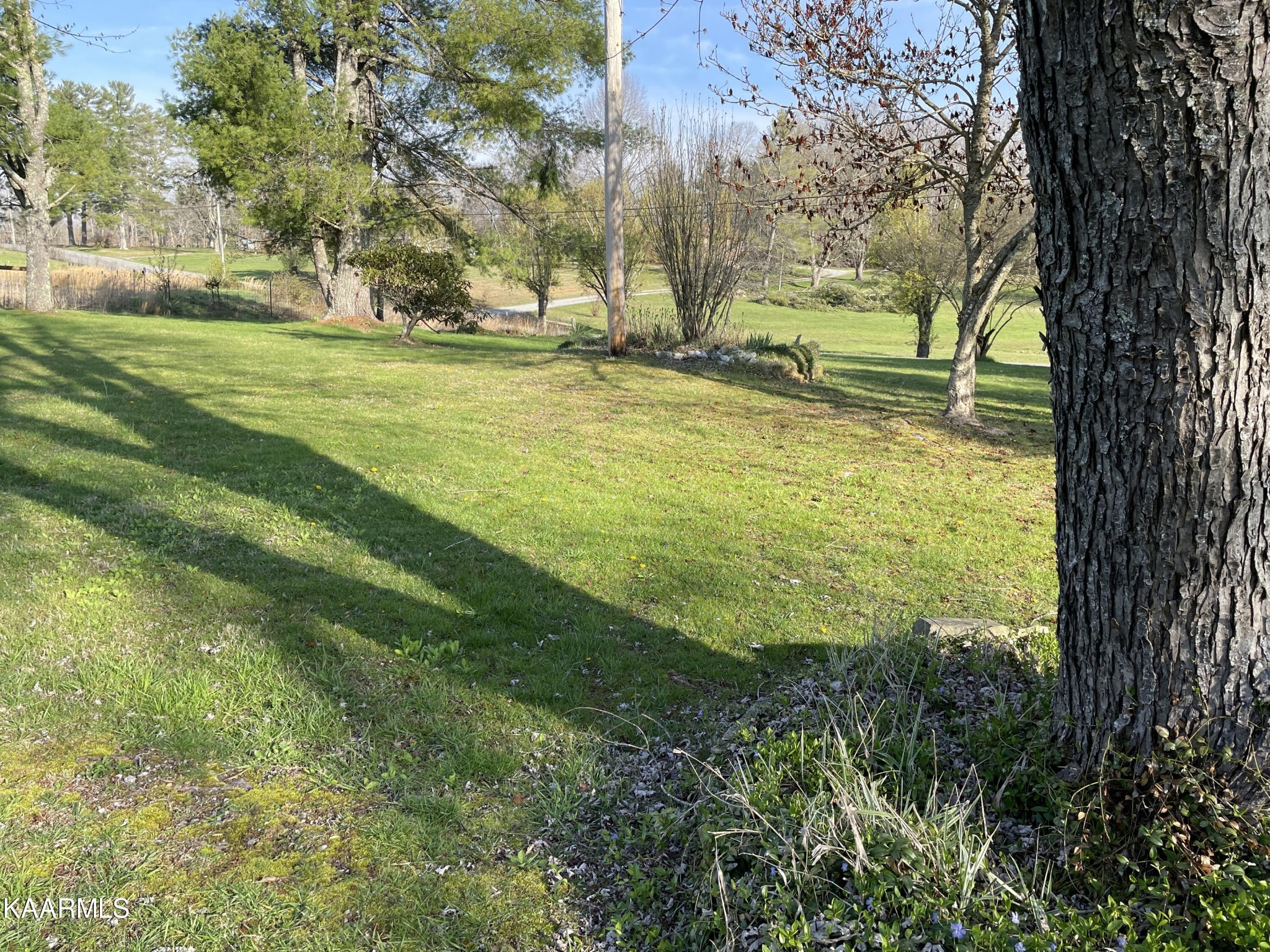2360 Roslin Road Clarkrange, TN 38553 - Photo 13 of 58 a view of an outdoor space and yard