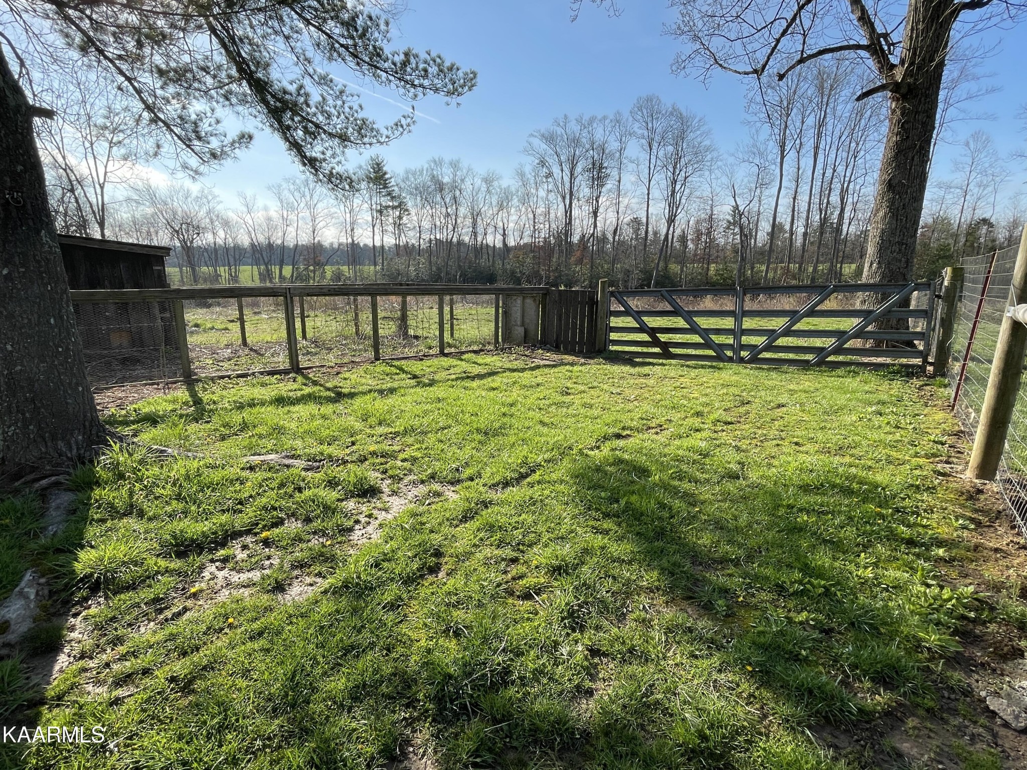 2360 Roslin Road Clarkrange, TN 38553 - Photo 17 of 58 a view of a backyard with large trees
