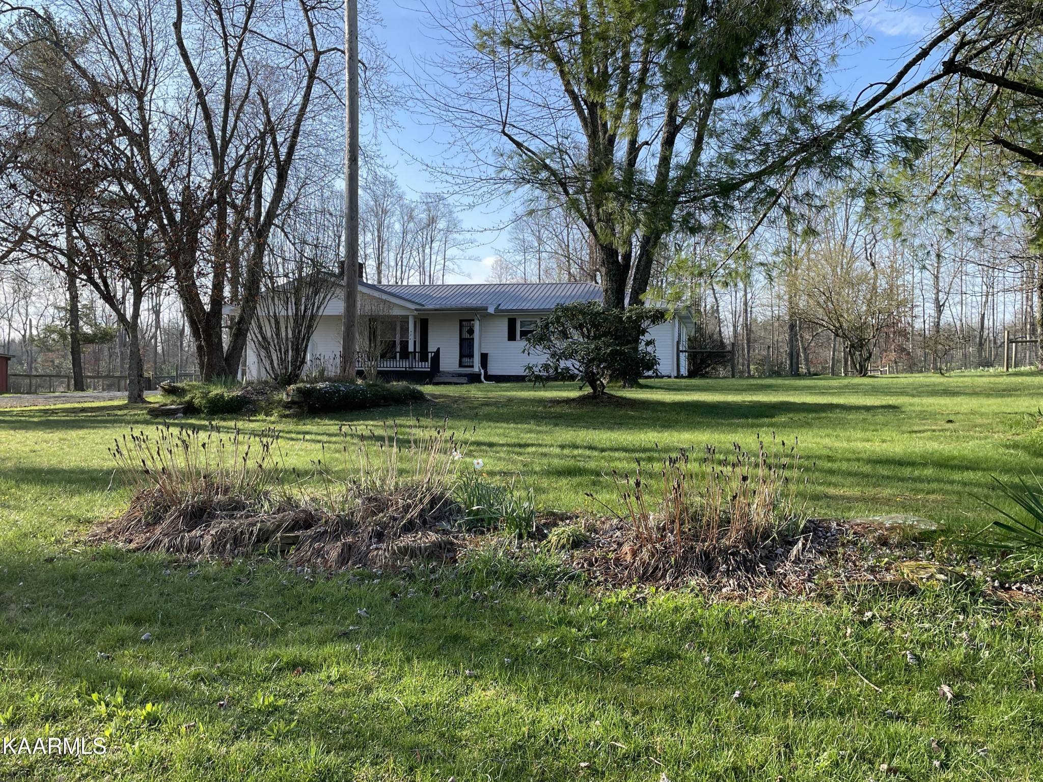 2360 Roslin Road Clarkrange, TN 38553 - Photo 6 of 58 a view of a house with a big yard and large trees