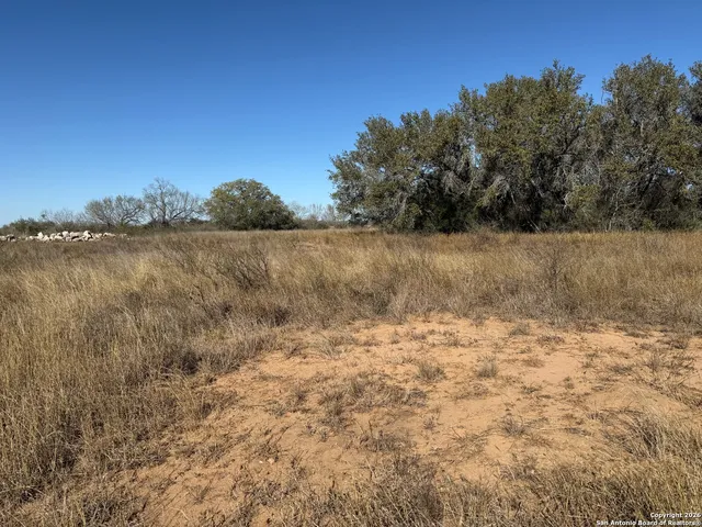 a view of a backyard and ocean view