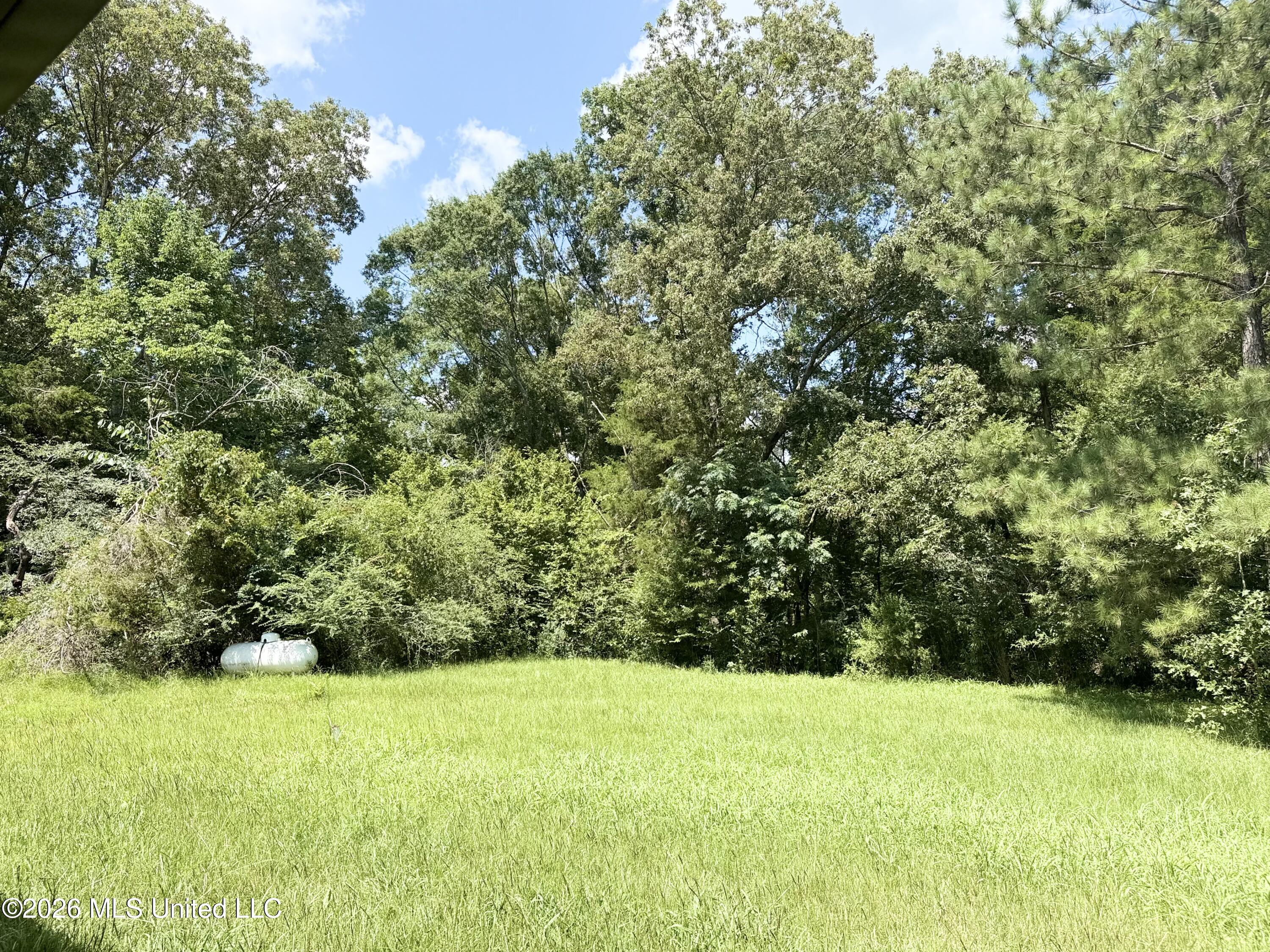 1150 Potato House Road Edwards, MS 39066 - Photo 28 of 28 1150 Potato House Rd pic24