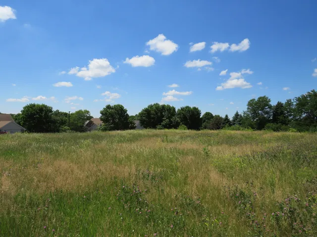 a view of a street both of side of street with lots of green space and mountain view in back
