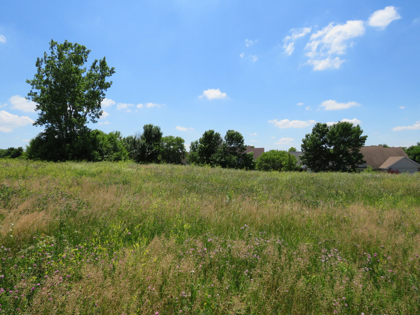 0 North Weber Road Romeoville, IL 60446 - Photo 14 of 28 a view of a green field with wooden fence