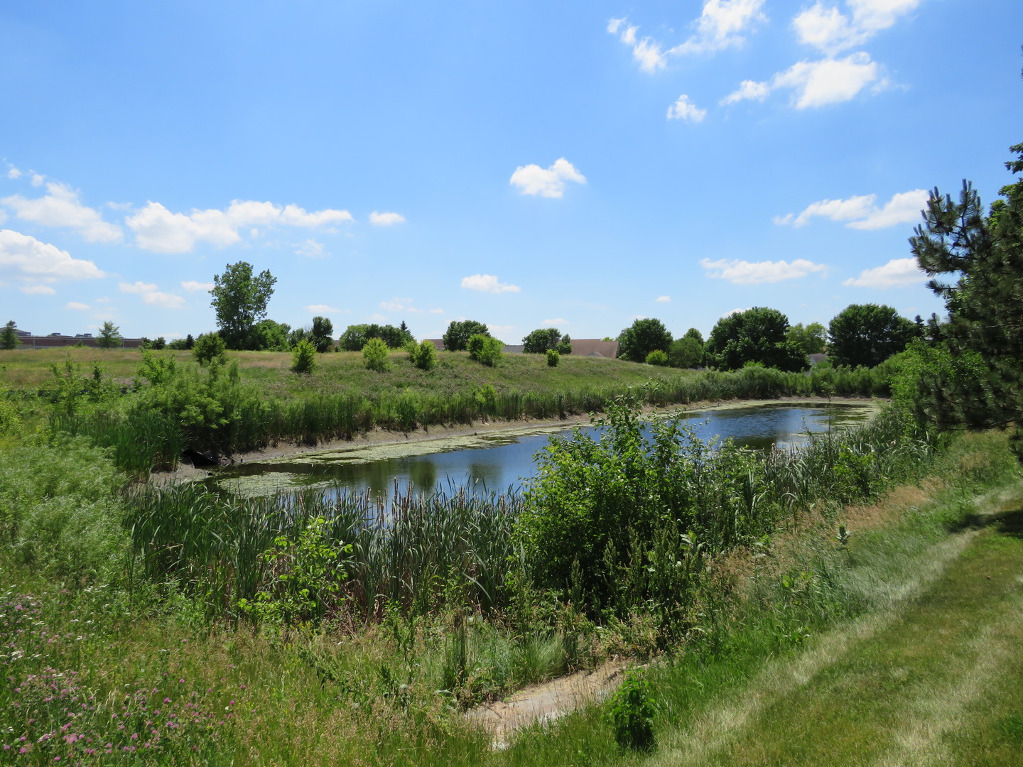 0 North Weber Road Romeoville, IL 60446 - Photo 7 of 28 a view of a lake and green space