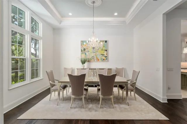 a living room with a bed and a potted plant