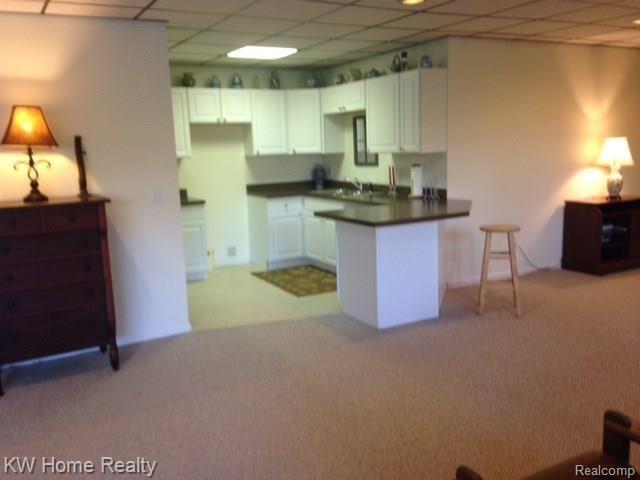 8029 Pine Knob Road Clarkston, MI 48348 - Photo 55 of 56 Pine Knob 004 .JPG