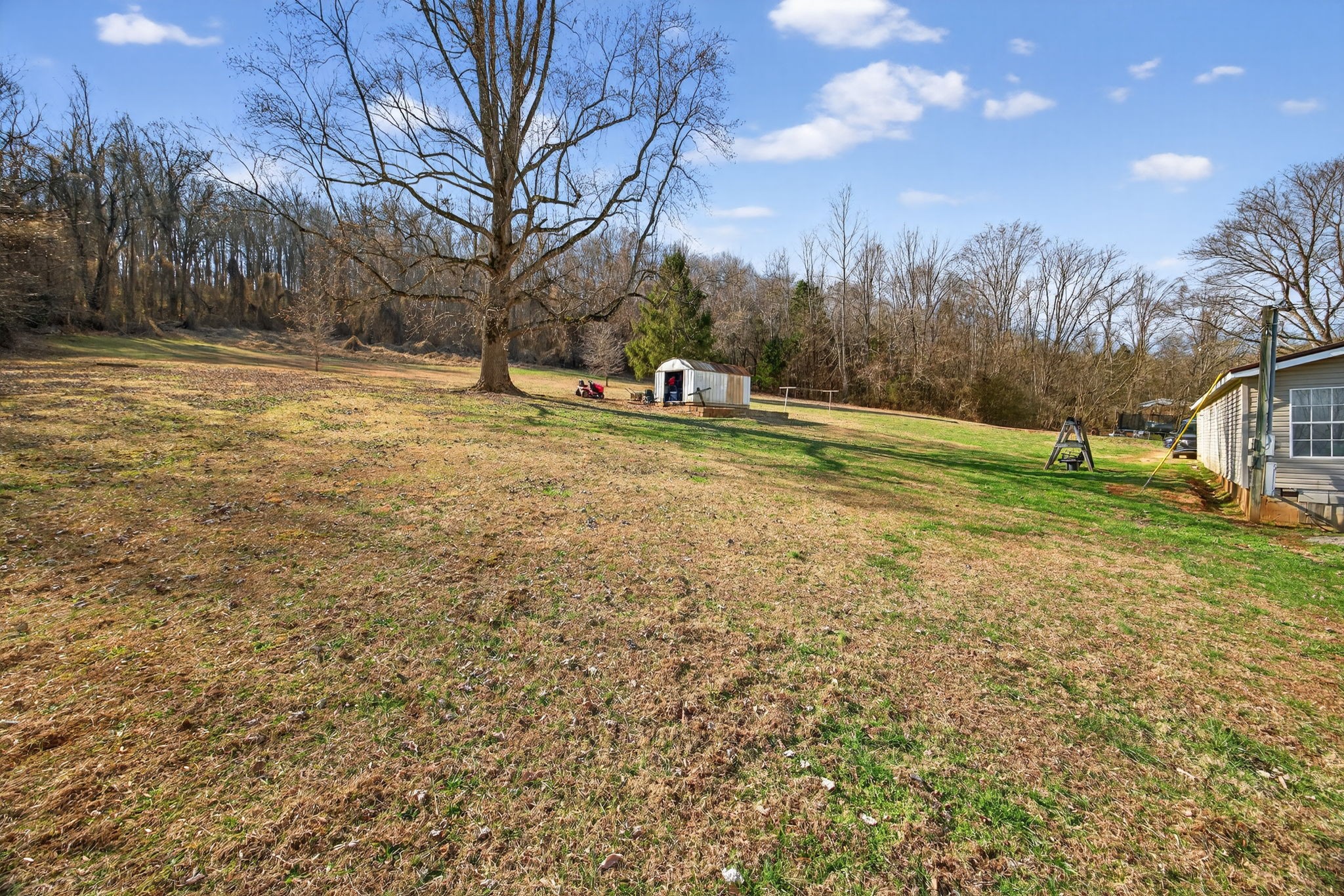 301 Morris Demps Road Sparta, TN 38583 - Photo 21 of 33 a view of outdoor space with garden and trees