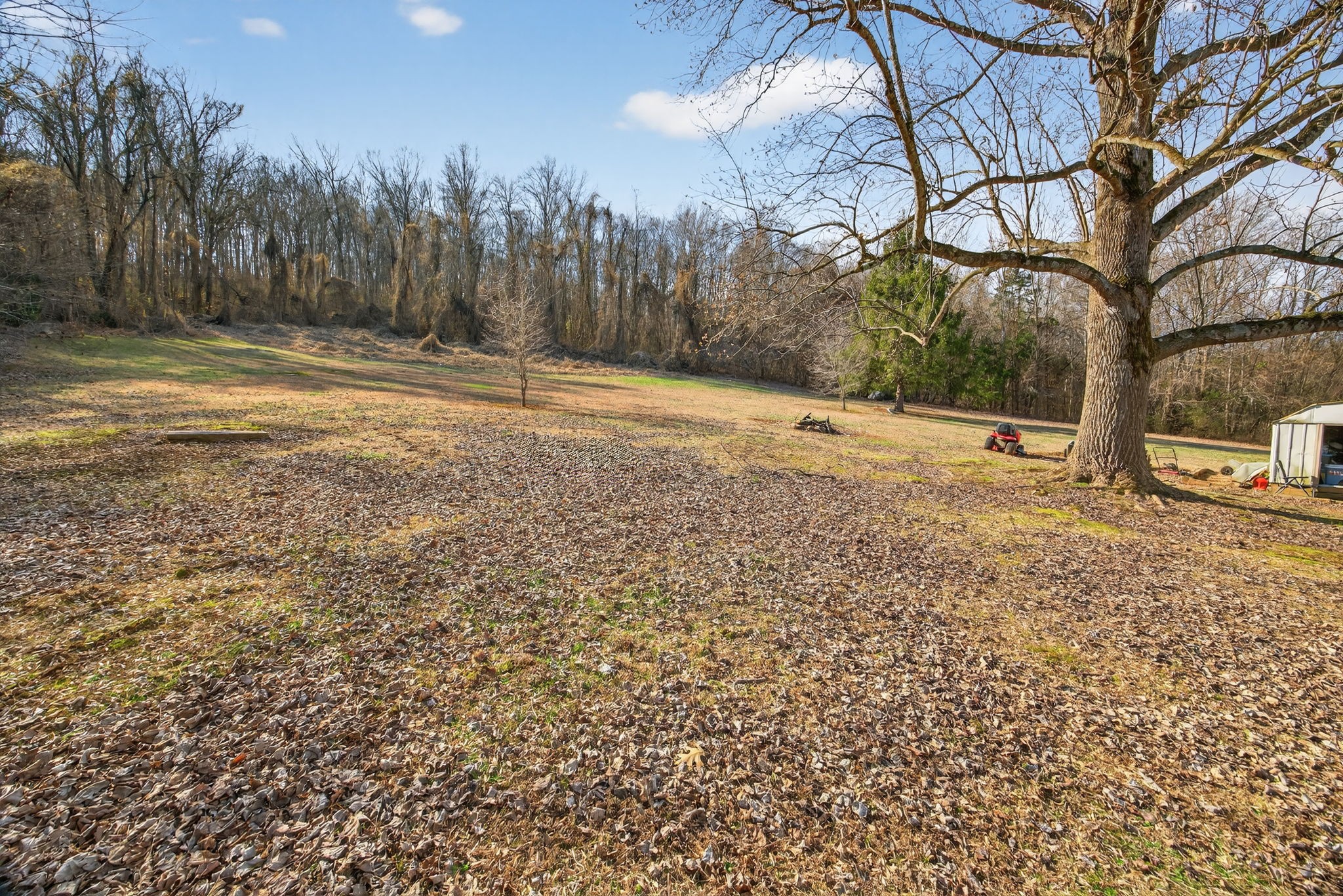 301 Morris Demps Road Sparta, TN 38583 - Photo 22 of 33 a view of dirt yard with a large tree