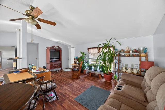 a living room with furniture and a potted plant