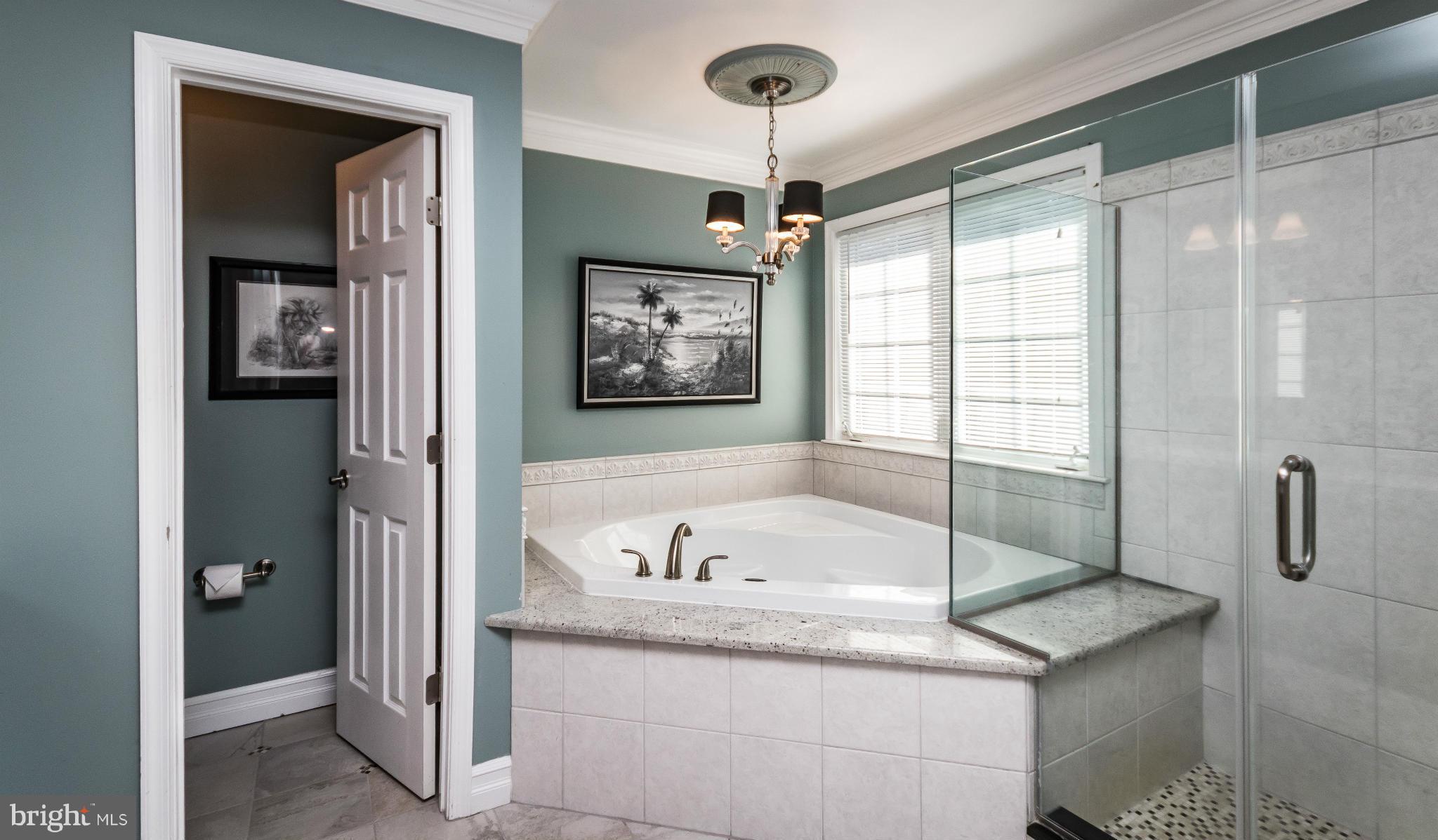 607 Havenhill Road Edgewater, MD 21037 - Photo 18 of 30 Bath (Master)