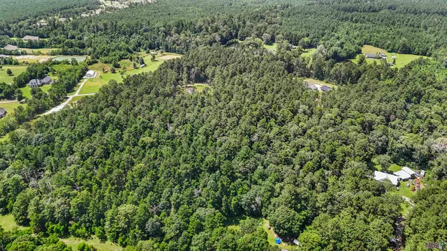 $150,000 | Hab-6 Baughman Road, Walker, LA 70785