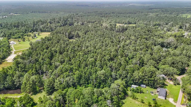 $150,000 | Hab-6 Baughman Road, Walker, LA 70785