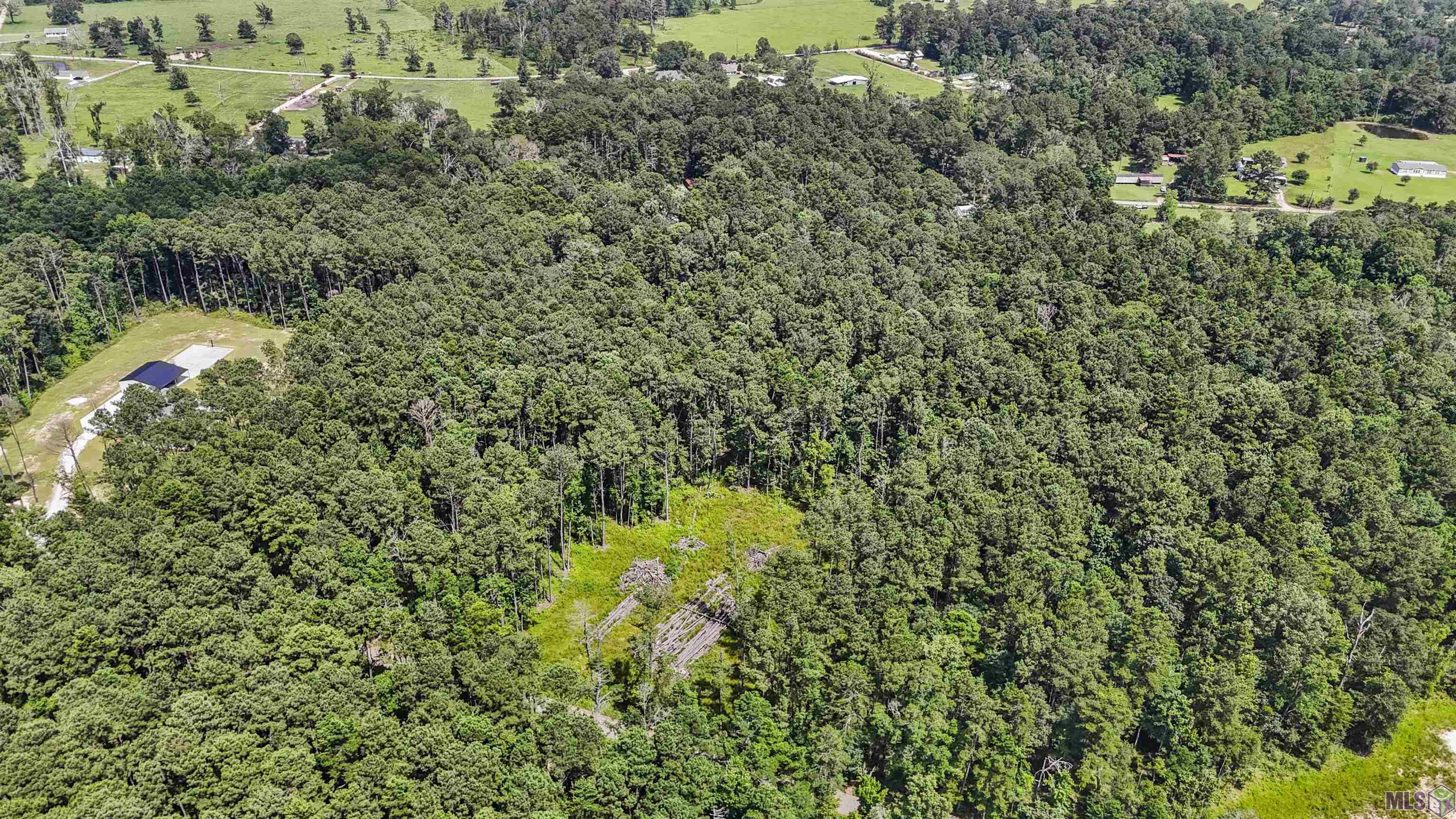 Hab-6 Baughman Road Walker, LA 70785 - Photo 8 of 10