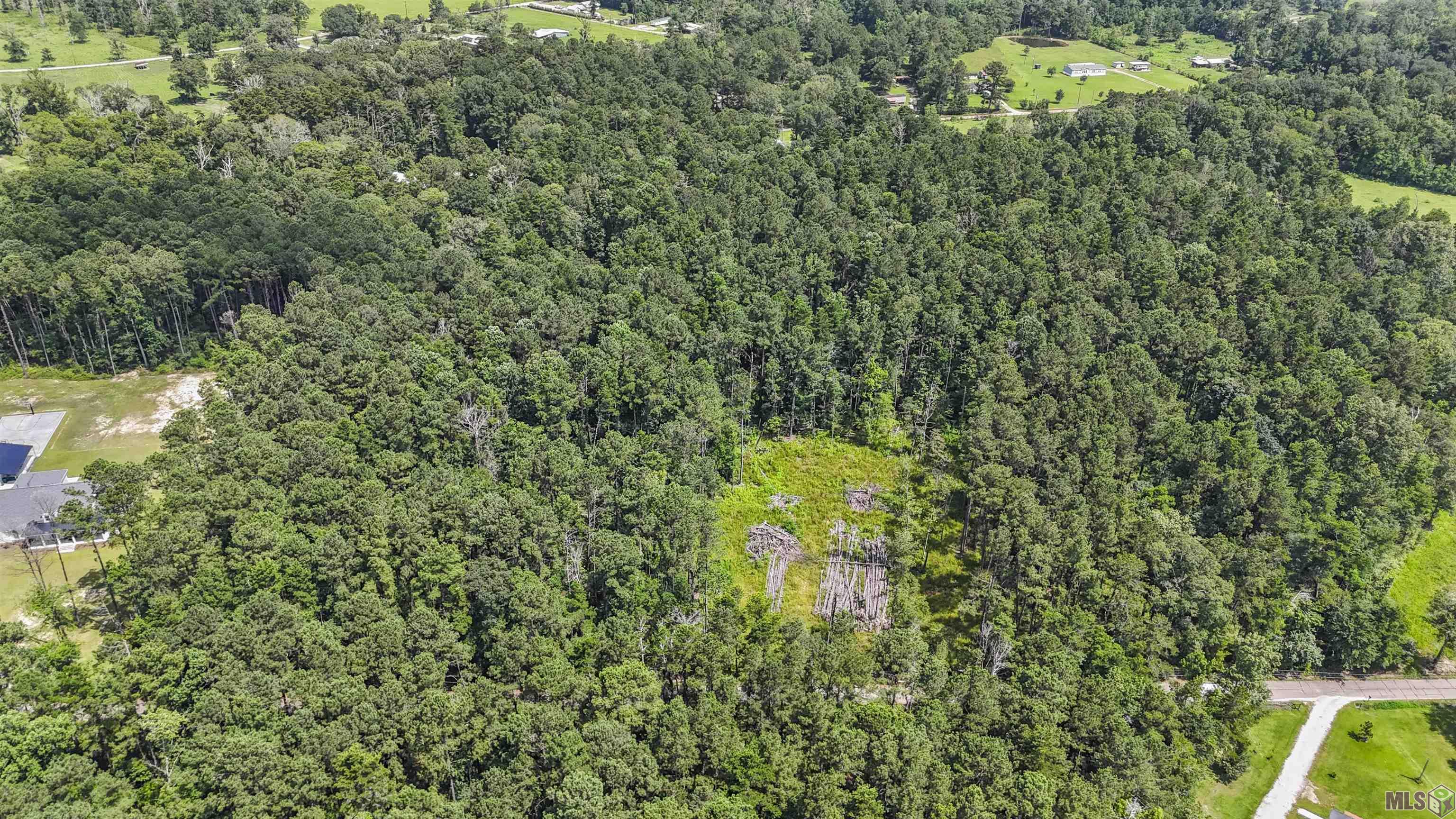 Hab-6 Baughman Road Walker, LA 70785 - Photo 9 of 10