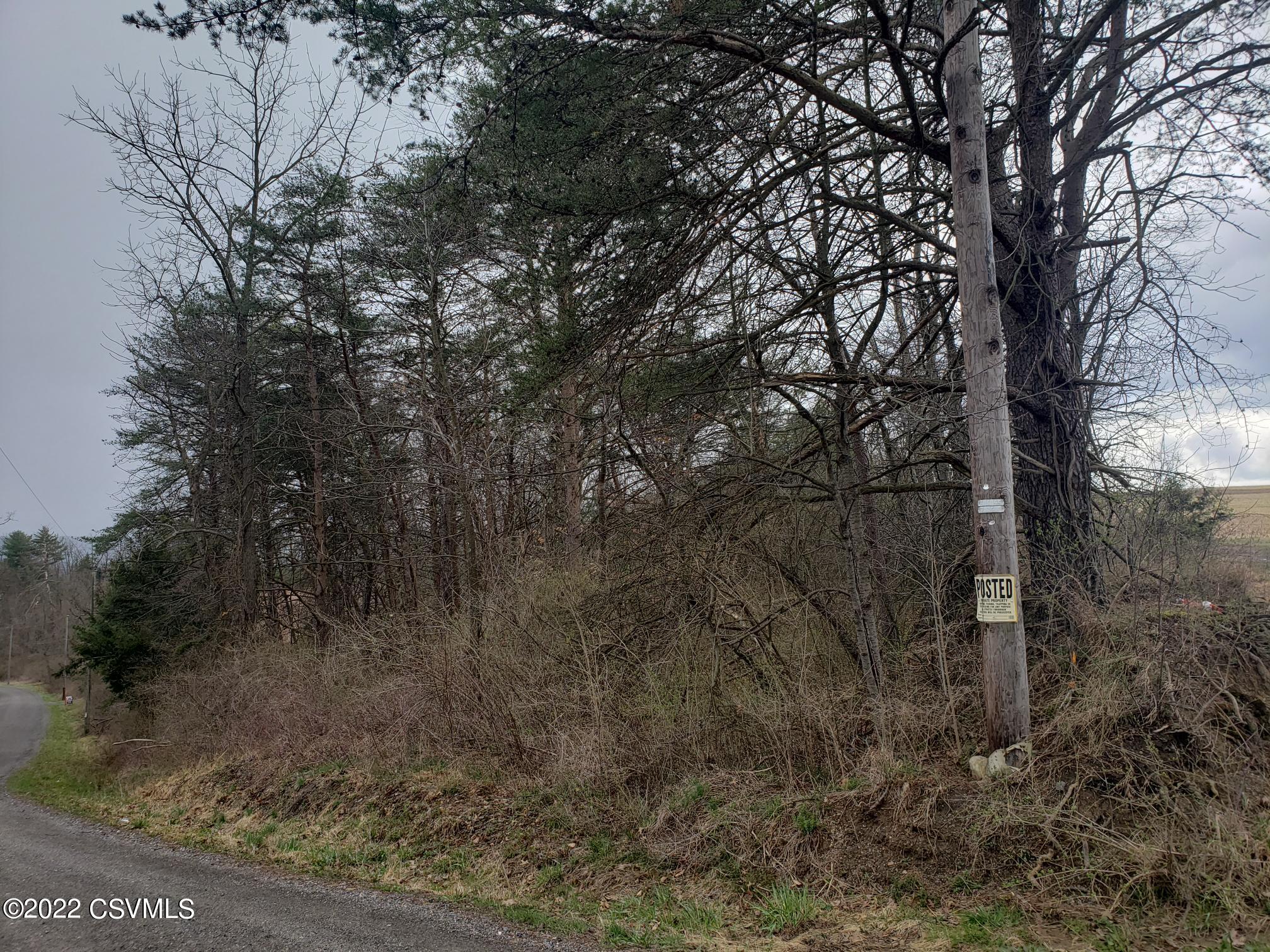 Lot#2 Shale Pit Road Beaver Springs, PA 17812 - Photo 7 of 8