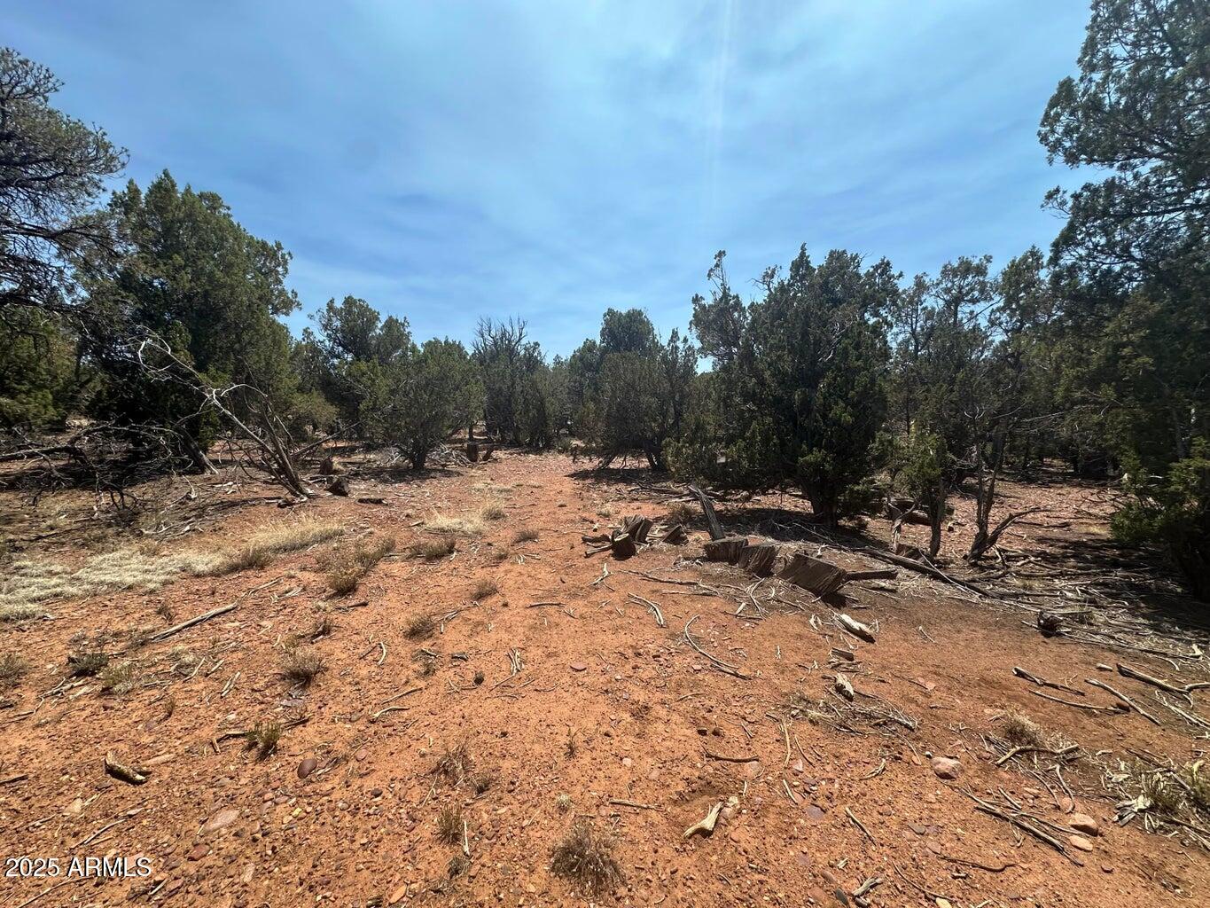 Lot #2 Power Line Road, Unit S Overgaard, AZ 85933 - Photo 4 of 9