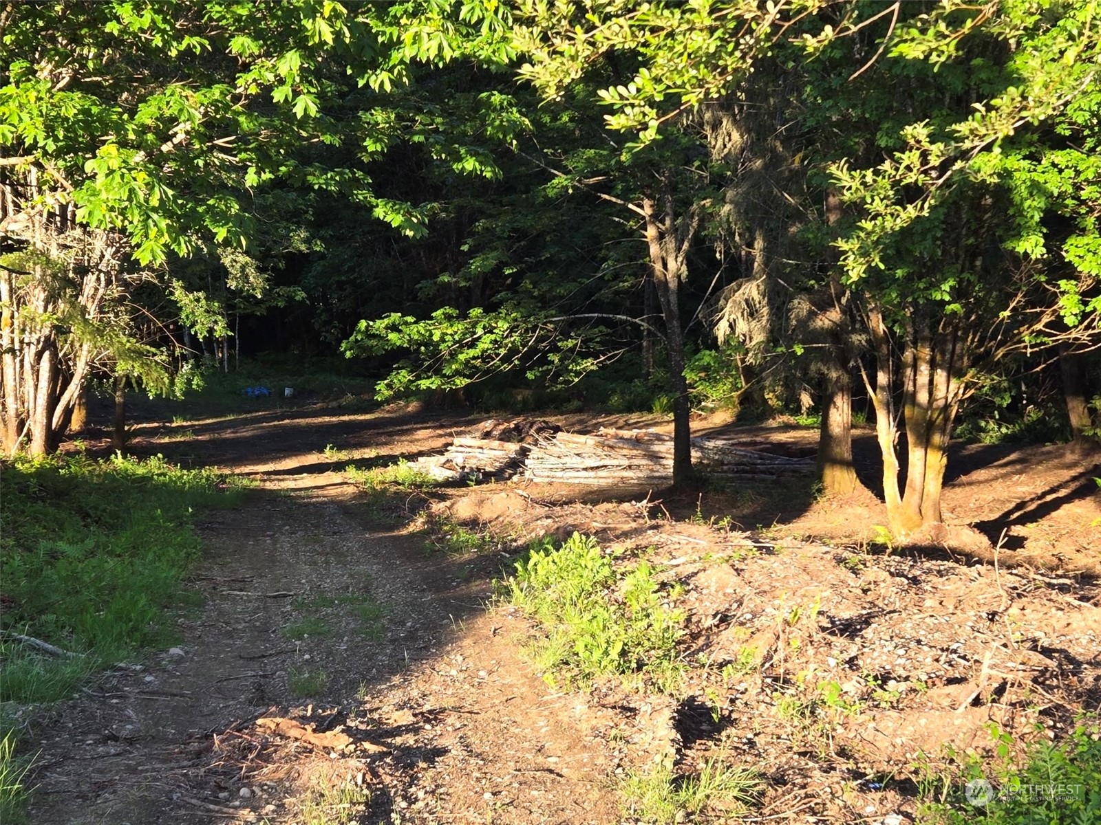 961 East Rasor Road Belfair, WA 98528 - Photo 11 of 13 a view of back yard of the house