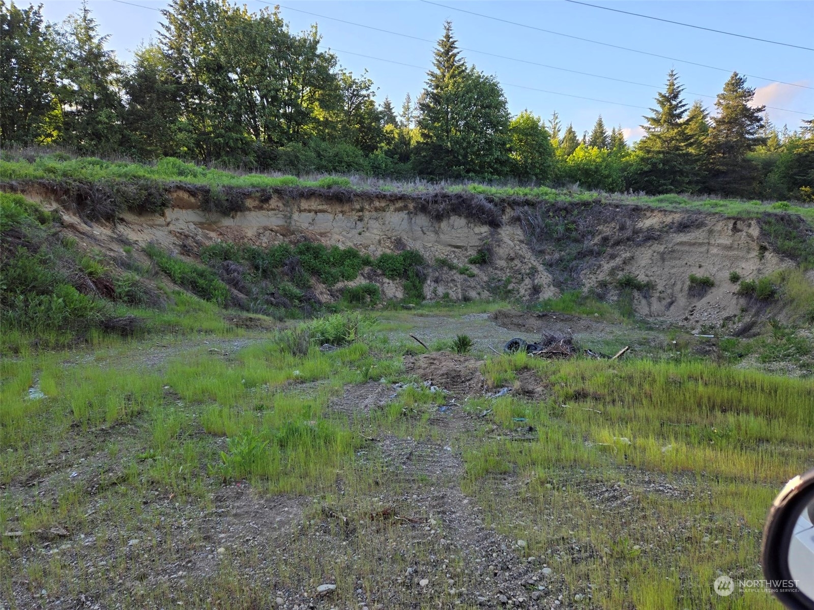 961 East Rasor Road Belfair, WA 98528 - Photo 13 of 13 a view of a lush green forest