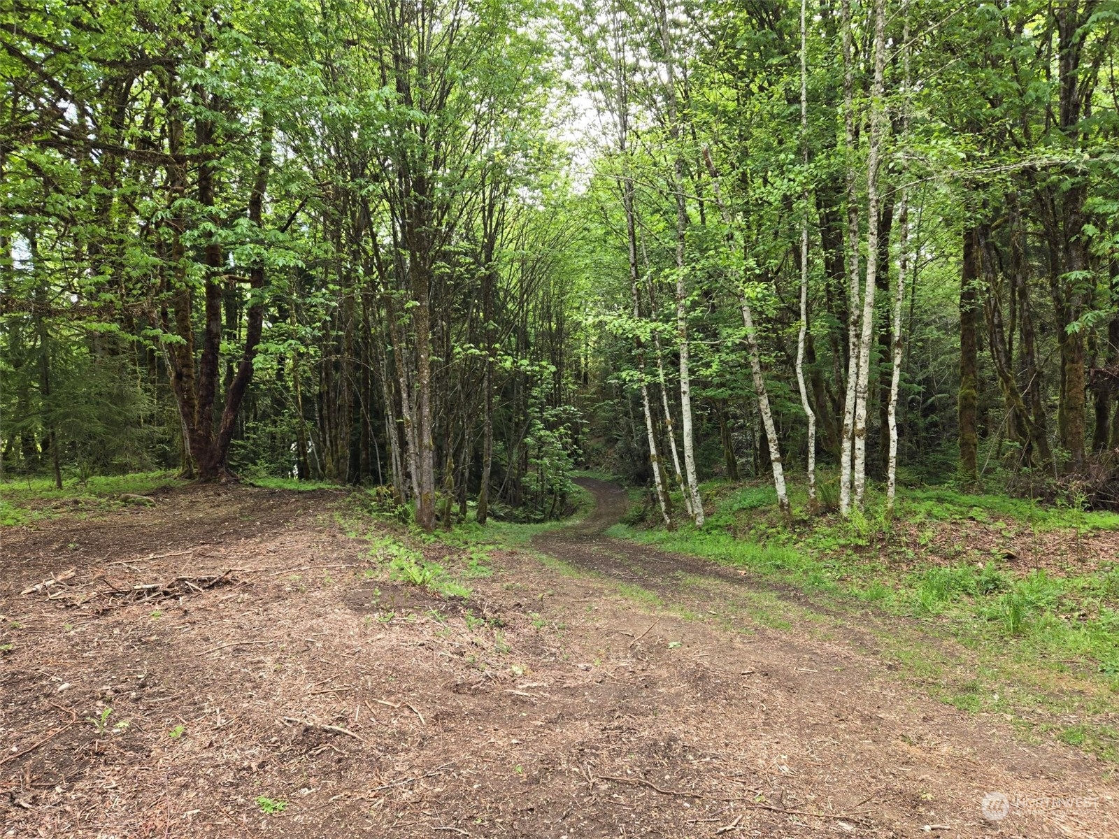 961 East Rasor Road Belfair, WA 98528 - Photo 2 of 13 a view of outdoor space with trees