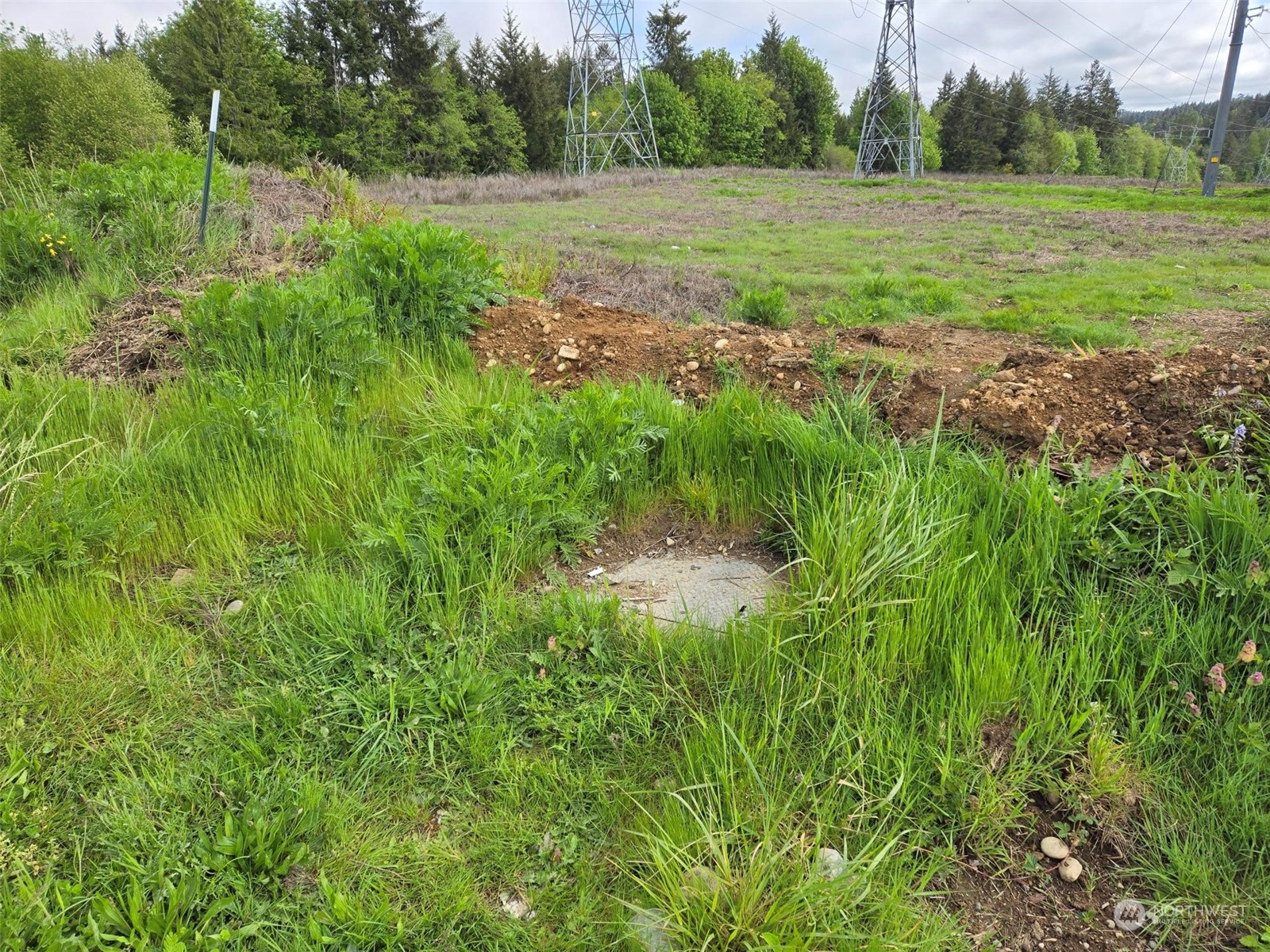 961 East Rasor Road Belfair, WA 98528 - Photo 7 of 13 a view of an outdoor space and a yard