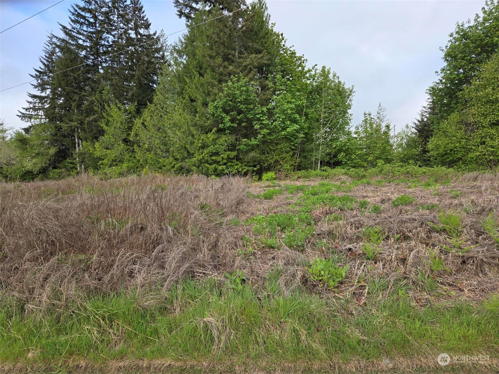 961 East Rasor Road Belfair, WA 98528 - Photo 8 of 13 a view of outdoor space and yard