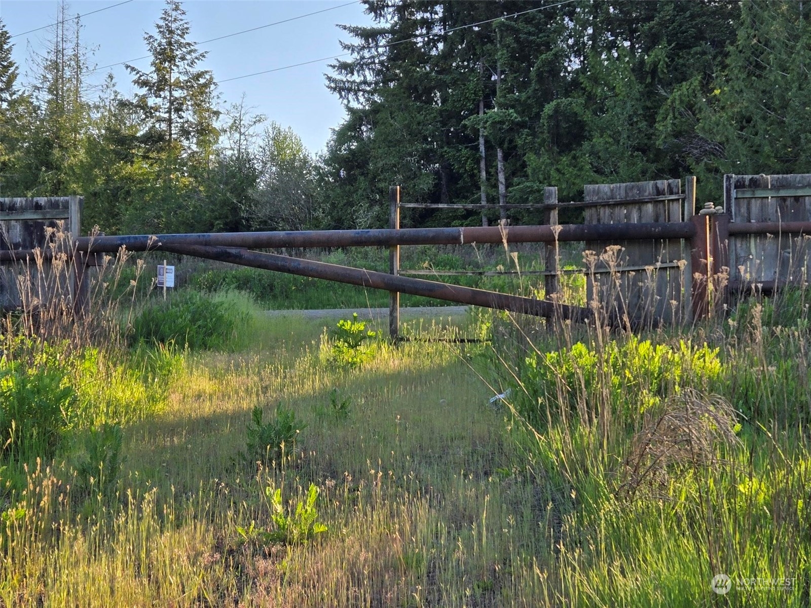 961 East Rasor Road Belfair, WA 98528 - Photo 10 of 13 a garden view