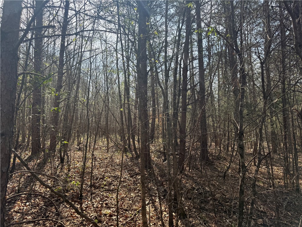 0 Holland Ford Road Pelzer, SC 29669 - Photo 23 of 35