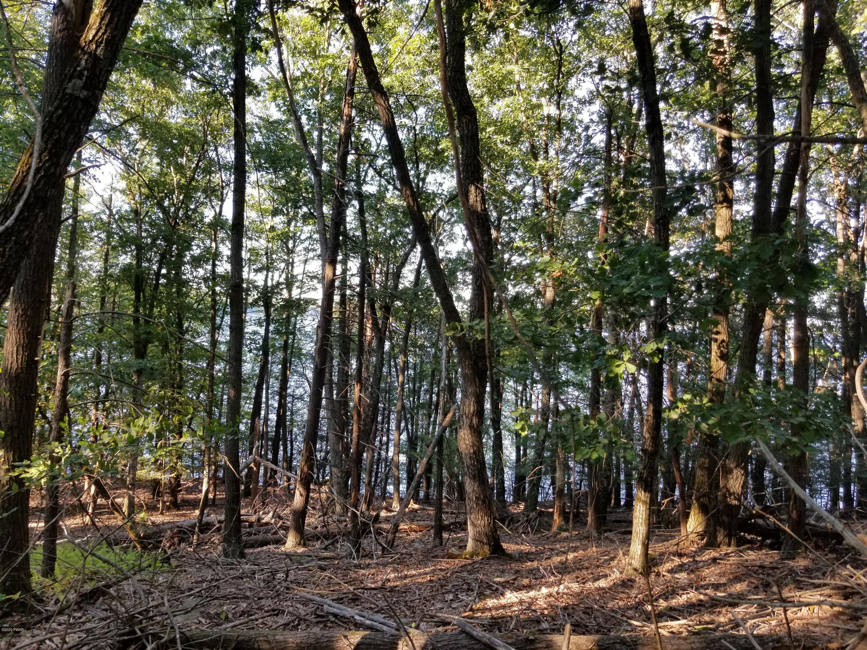 Coutts Point Drive Paupack, PA 18451 - Photo 20 of 22