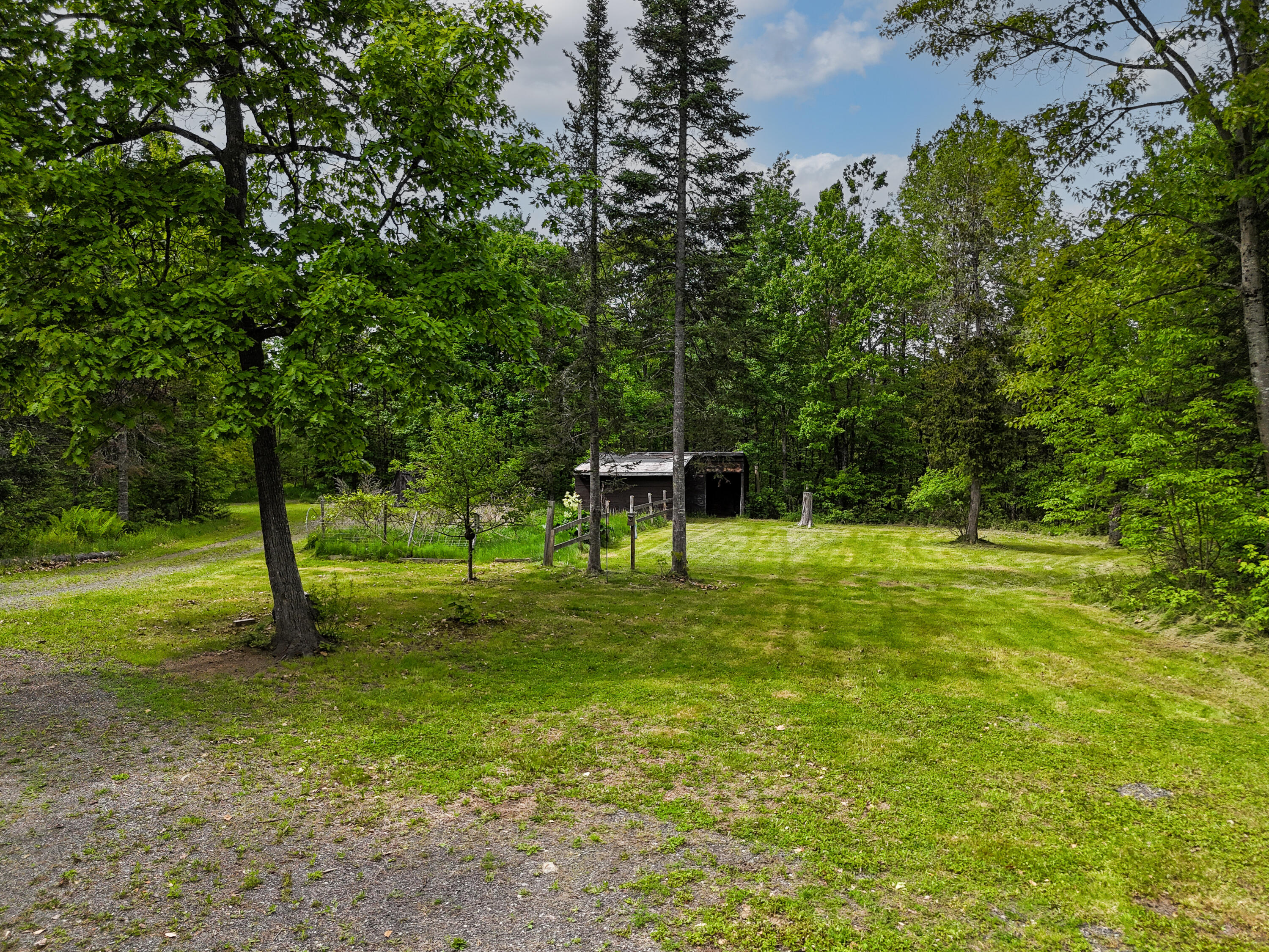 385 Johnson Flat Road Pittsfield, ME 04927 - Photo 5 of 53 Side yard
