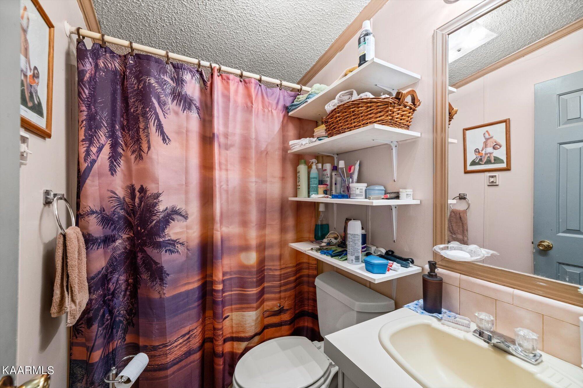 351 Patterson Road Walland, TN 37886 - Photo 16 of 29 2nd/guest bathroom